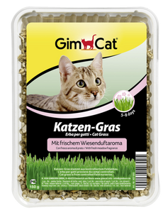 GimCat - Articolo per gatti - Grass Erba per gatti 150gr