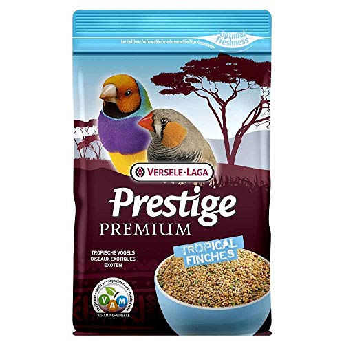 Versele Laga - Alimento per uccelli - Esotici Premium 0,8 kg V.A.M.