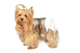 Camon - Articolo per cani - Pannolini Mutandina 12PZ