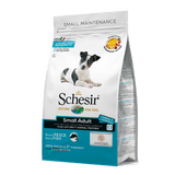 Schesir - Alimento per cani - Small Adult Mantenimento ricco in pesce