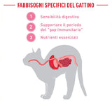 Royal Canin -Alimento per gatti - BabyCat Instinctive, Confezione Da 195gr
