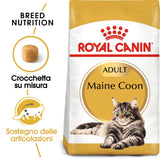 Royal Canin - Alimento per gatti - Maine Coon Adult 2kg