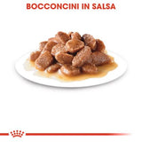 Royal Canin - Alimento per gatti - Intense Beauty 85gr
