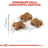Royal Canin - Alimento per gatti - Cibo Umido kitten Instinctive - 85gr