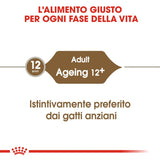 Royal Canin - Alimento per gatti - Ageing+12 85gr