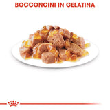 Royal Canin - Alimento per gatti - Ageing+12 85gr