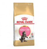 Royal canin - Alimento per gatti - Breed maine coon kitten da 2kg