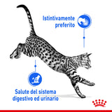 Royal Canin - Alimento per gatti - Indoor Sterilized in Gravy 85gr