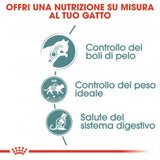 Royal Canin - Alimento per gatti - Hairball Care 85gr